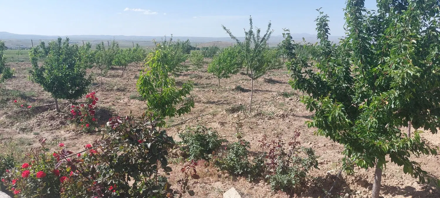 باغ ۲۰۰۰ متری در سیمین زاغه