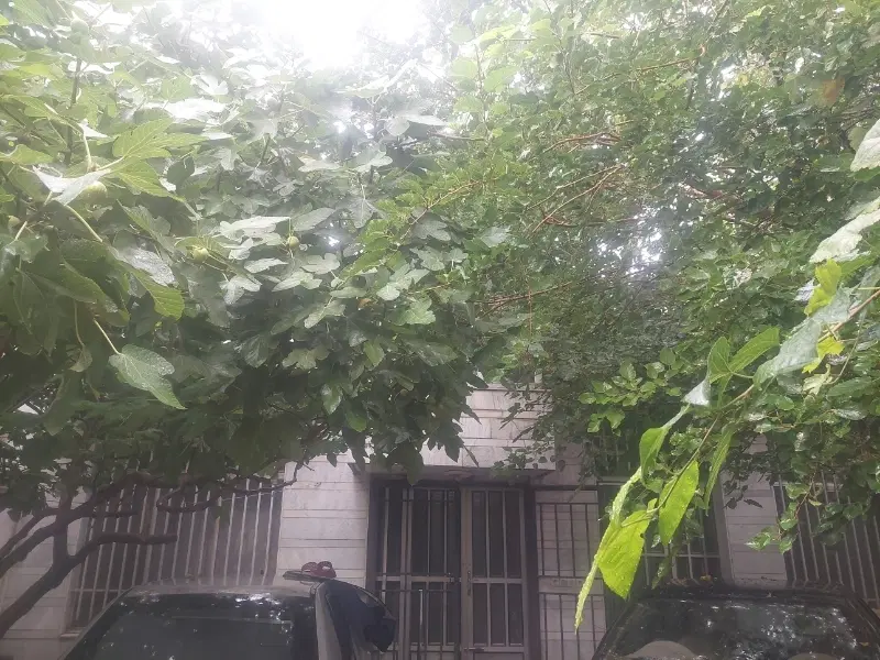 ویلایی شمالی کلنگی
