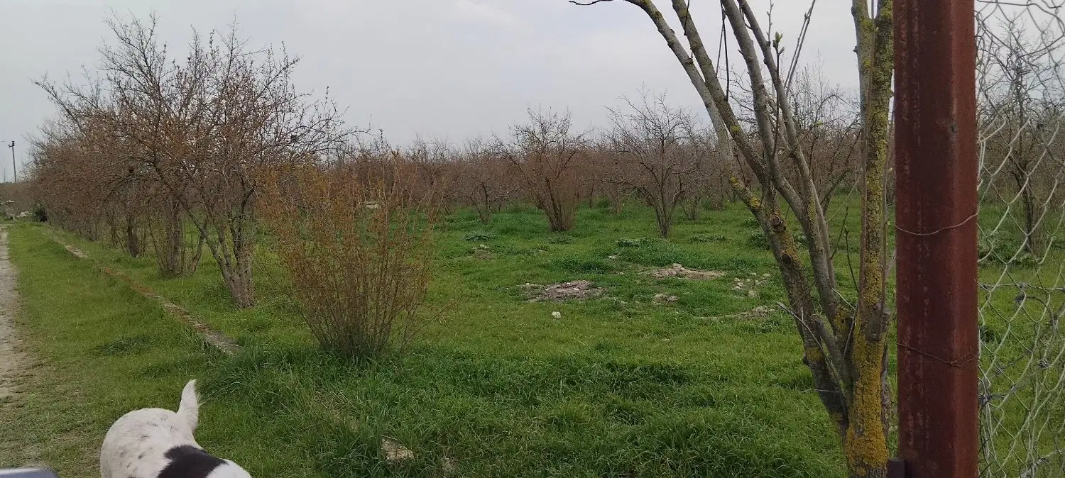 باغ جاده قدیم گرگان کردکوی