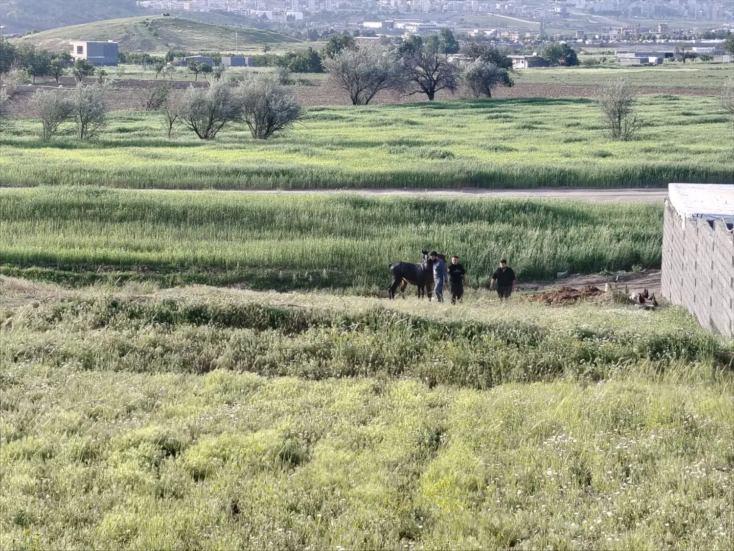 زمین باغ 570متری دوشان