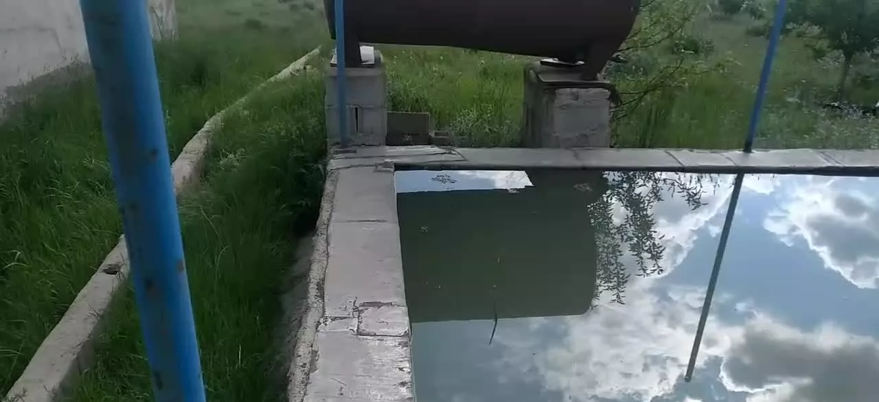 باغ در اسپیران