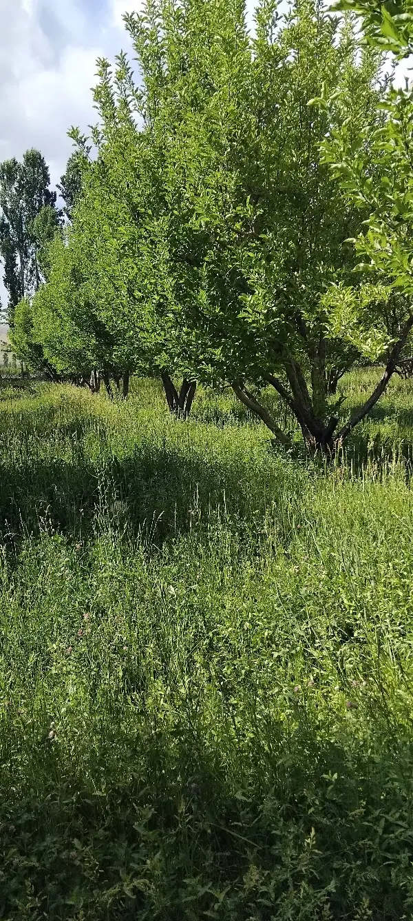 باغ باغشهری۱۰۰۰ متری کمهر سپیدان معاوضه خودرو یا..