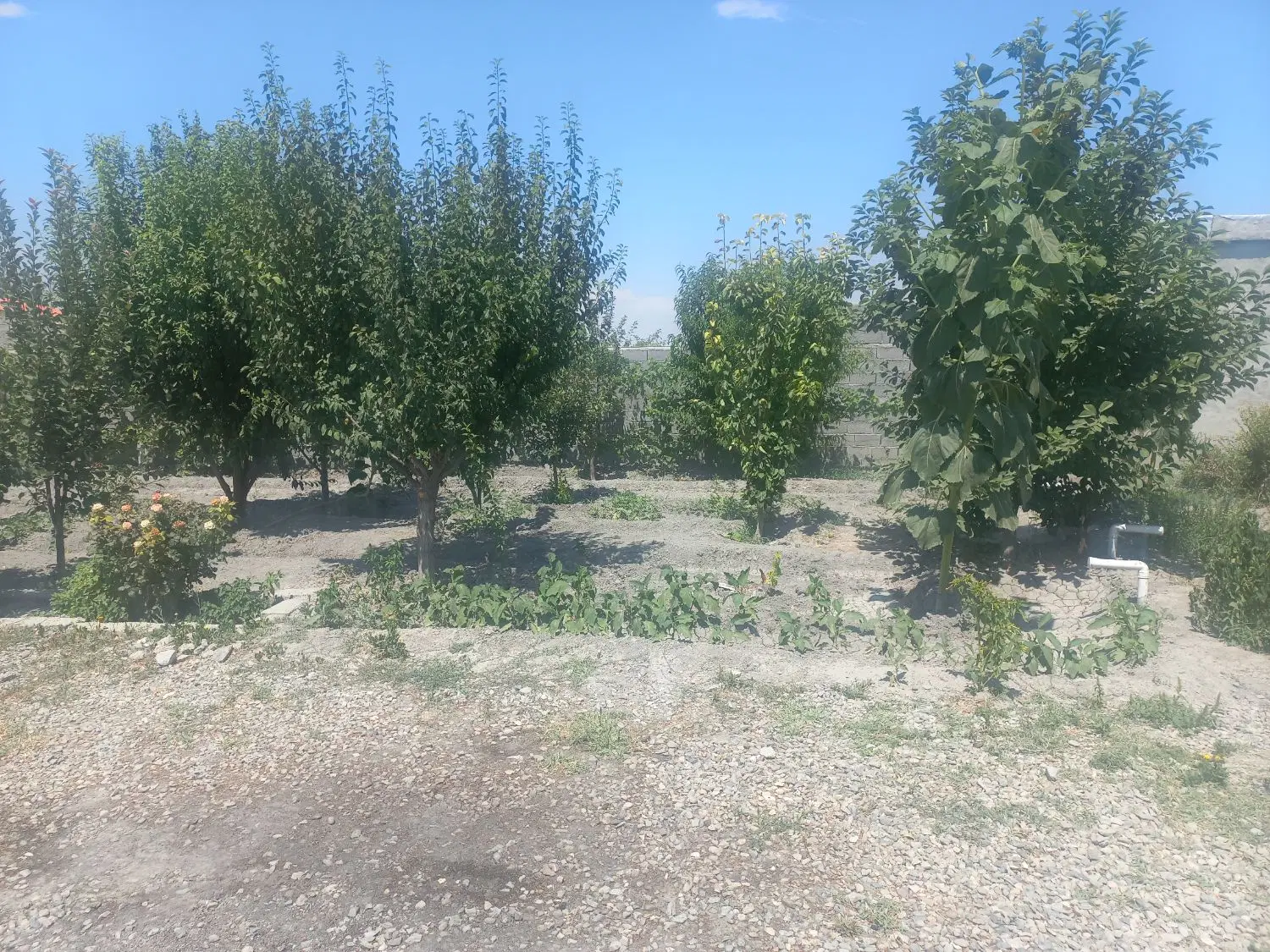 ۱۰۰۰مترچهاردیواری خانه باغ بااب وبرق وشناور