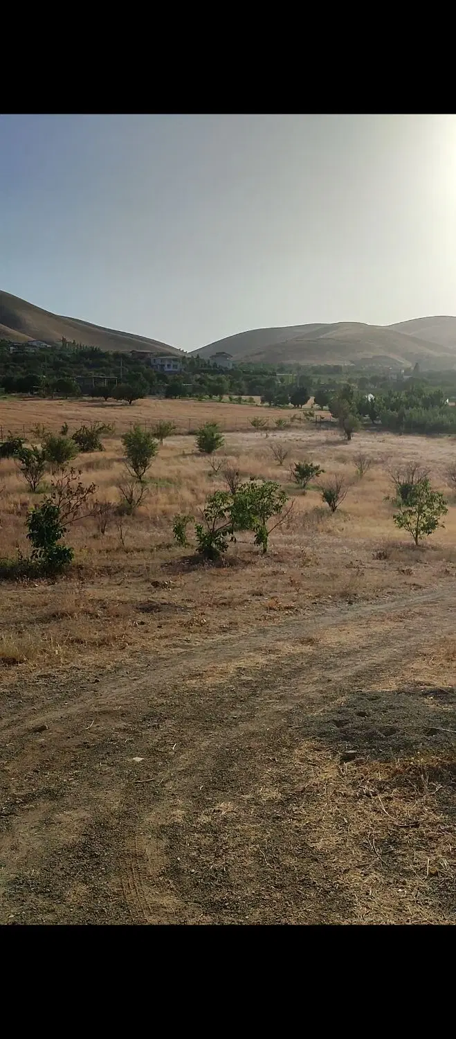 باغ سرابقامیش