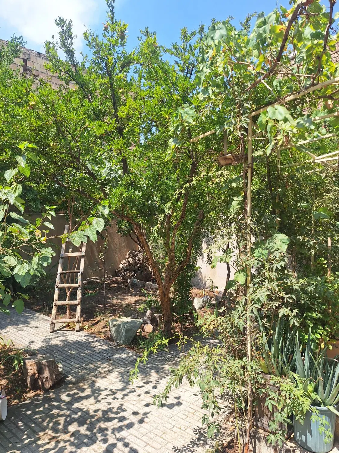 خونه باغ