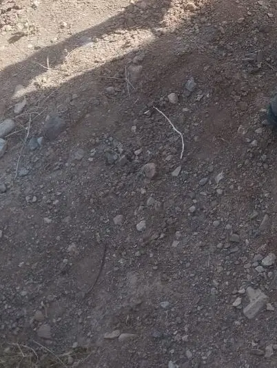 زمین خوب دارم