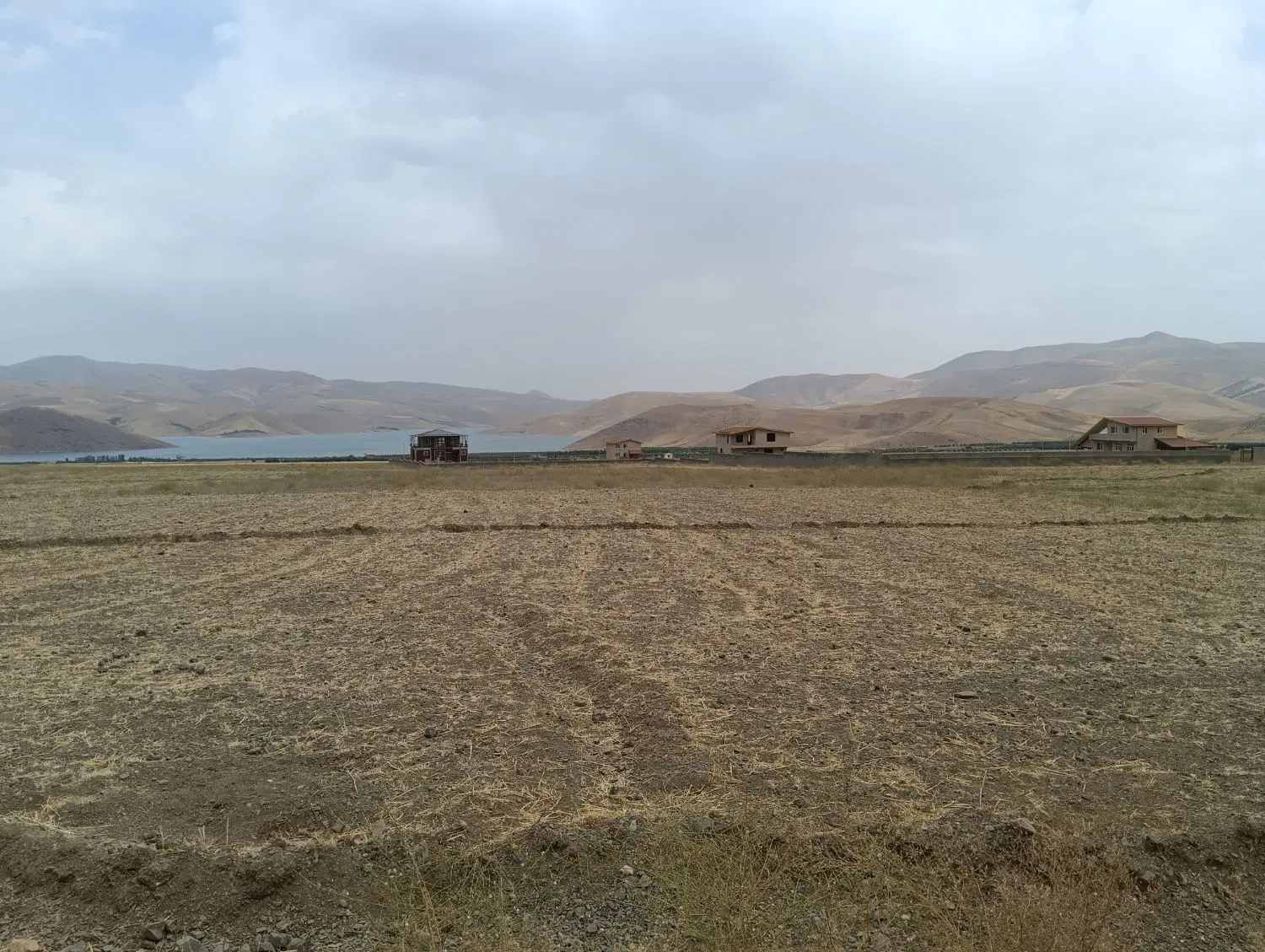 زمین کشاورزی