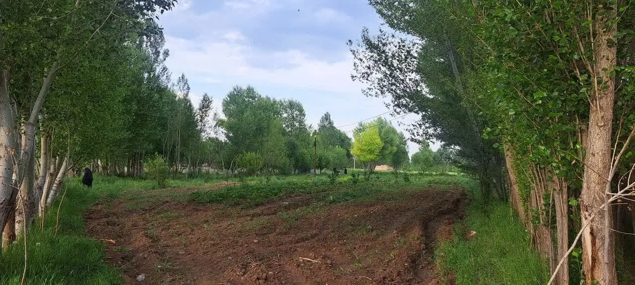 فروش باغ ۲۶۶۶ متری  باغی سرسبز و خوش‌موقعیت