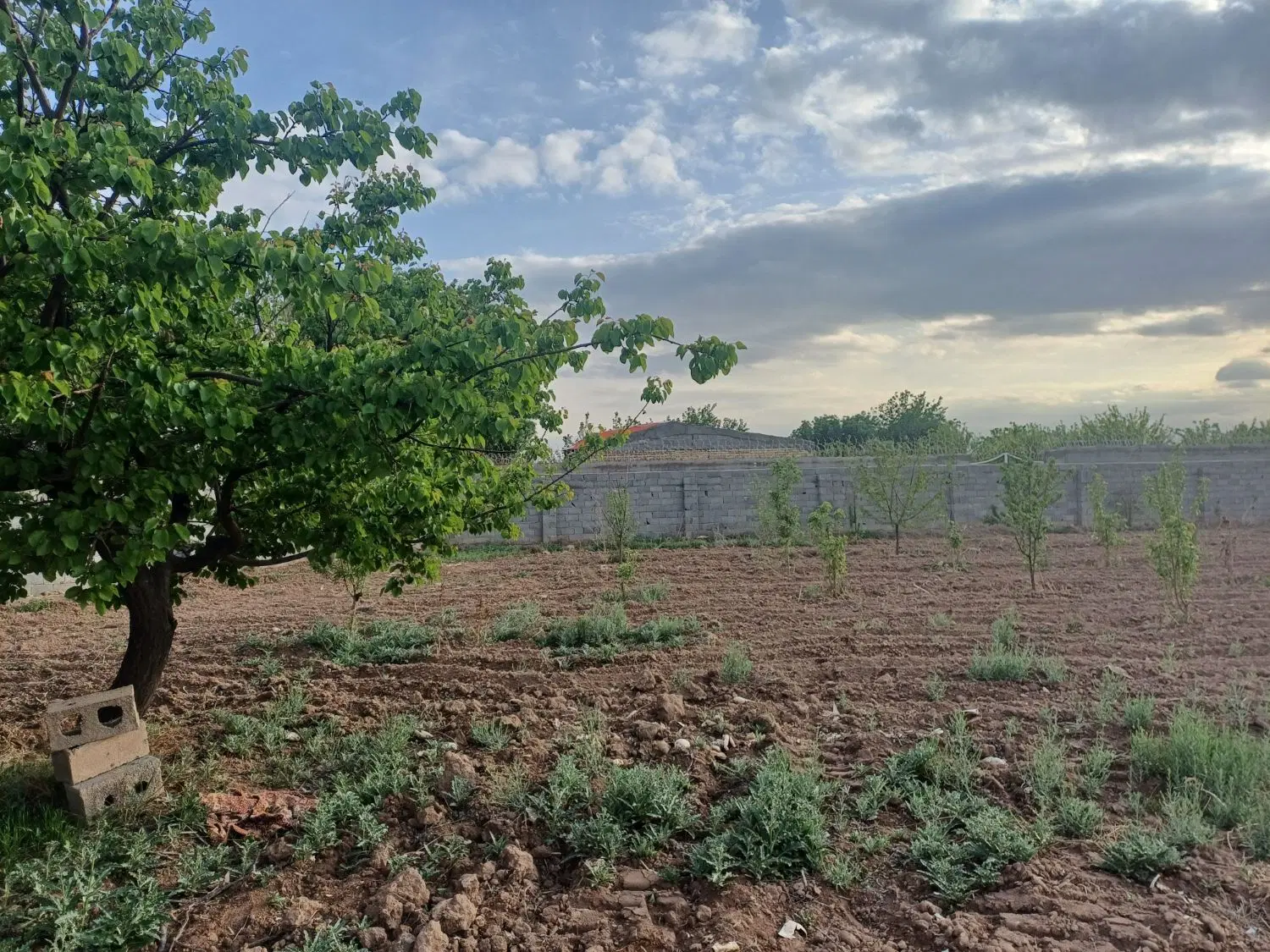 باغ ۳۰۰۰ متری سر دونبش  یاردشت