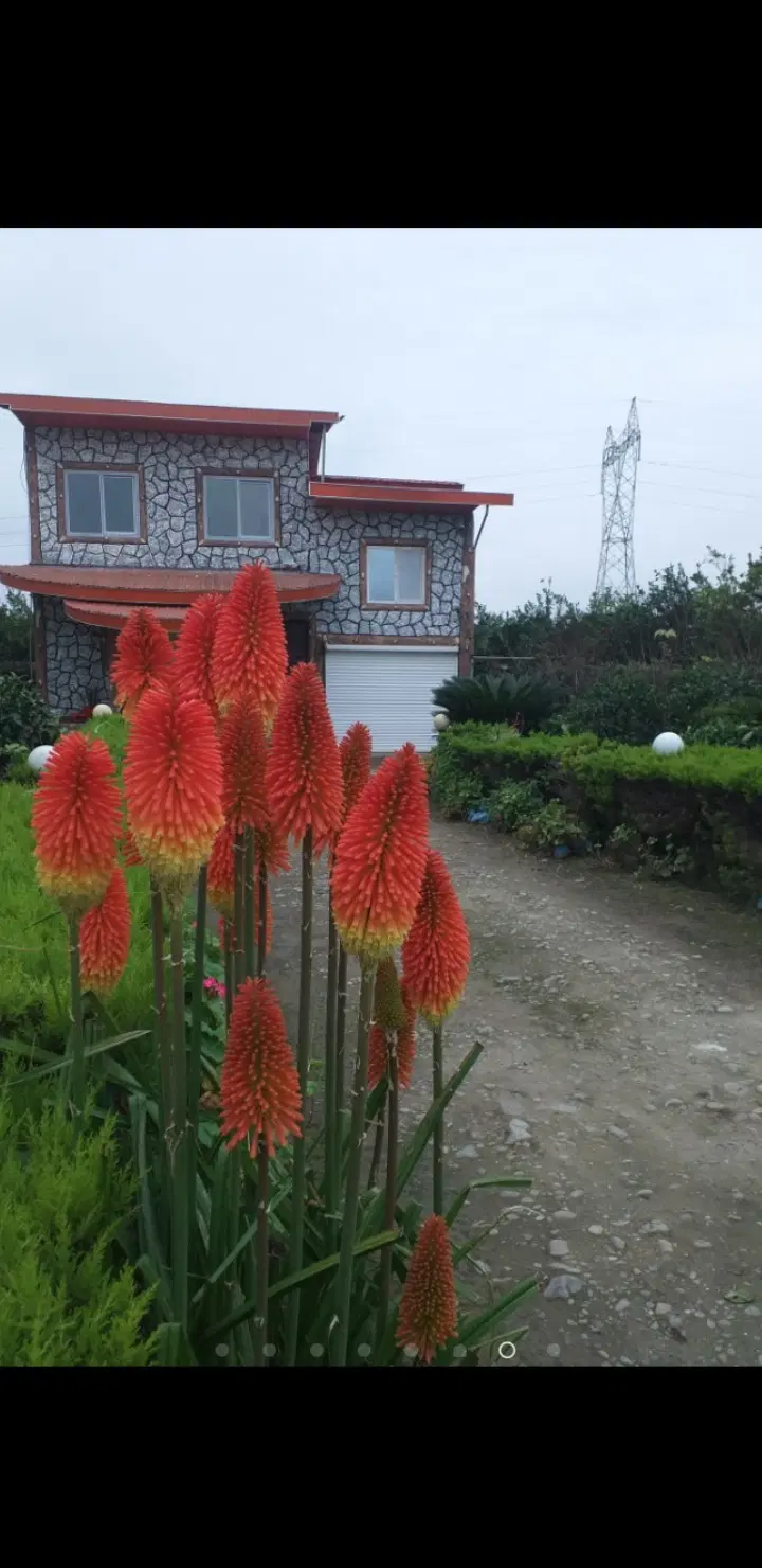 ویلای دو خواب با امکانات