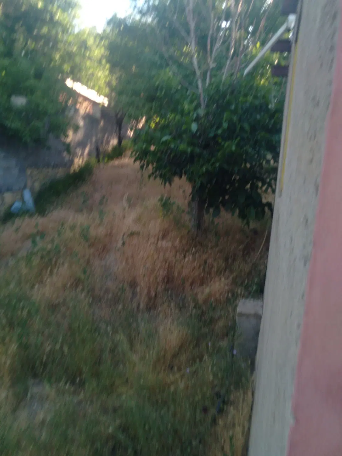 باغ شمس اباد