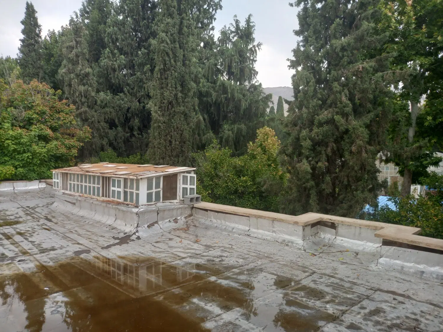 فروش ملک کلنگی در بهترین لوکیش شهر شیراز