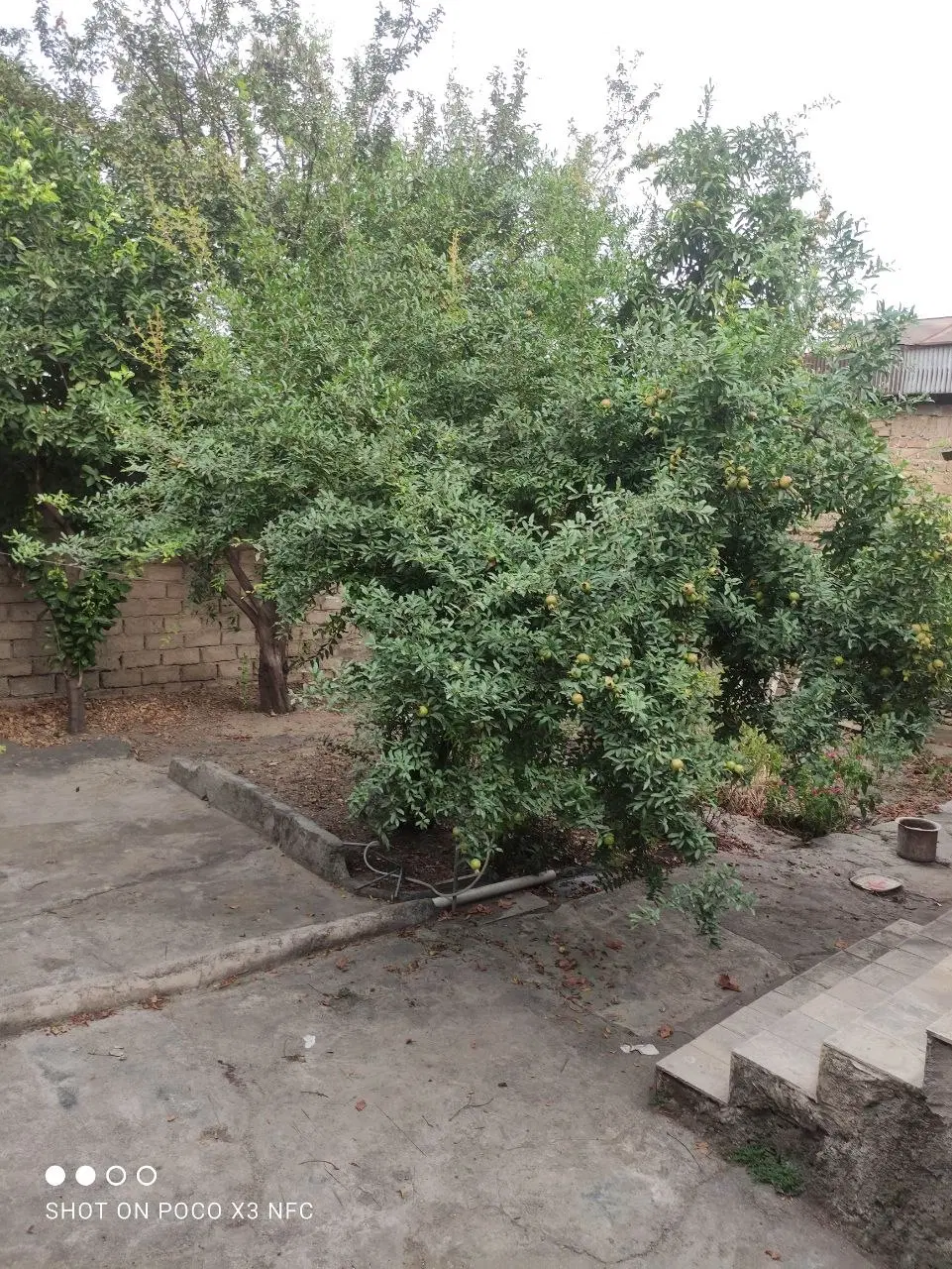 خانه ویلایی باسند شیش دانگ