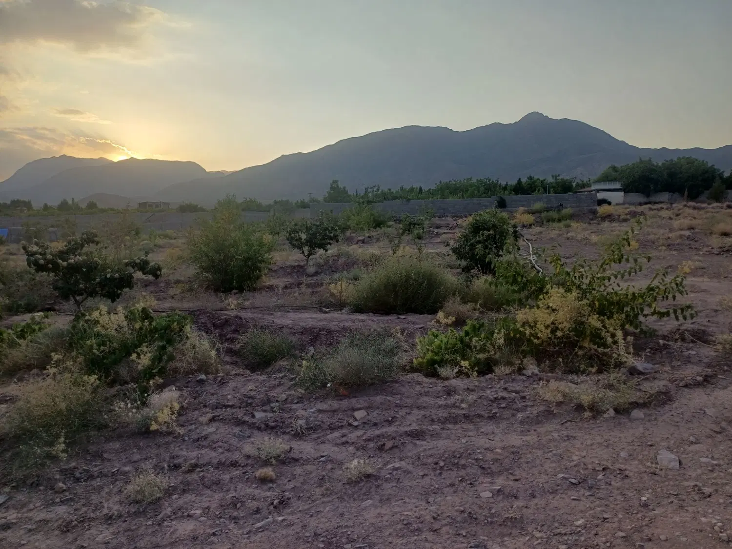 زمین کوهپایه انارستان (دشت ناز)