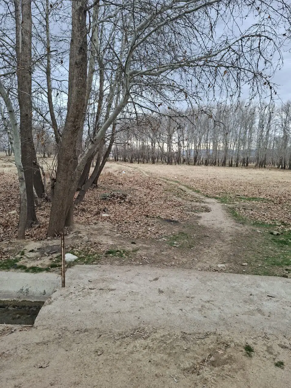 باغچه