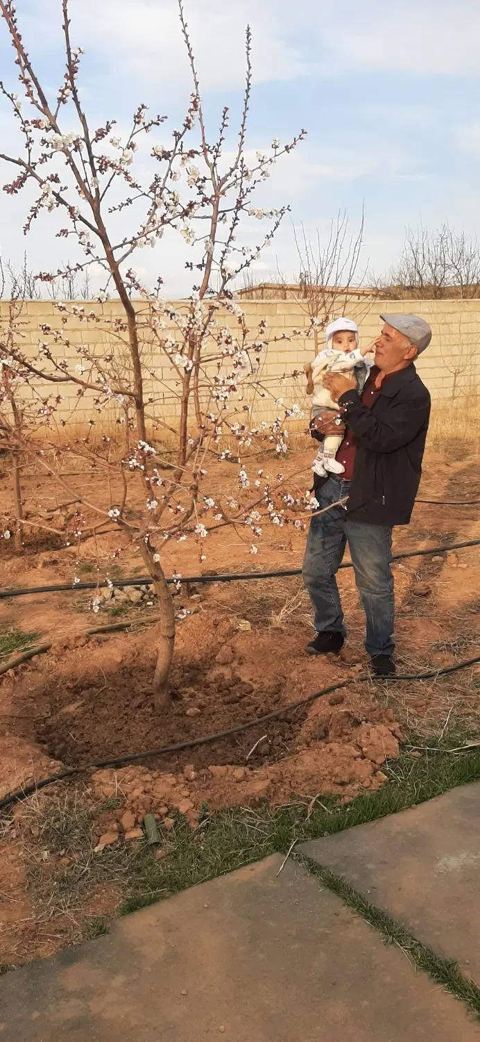 سوله‌وویلایی
