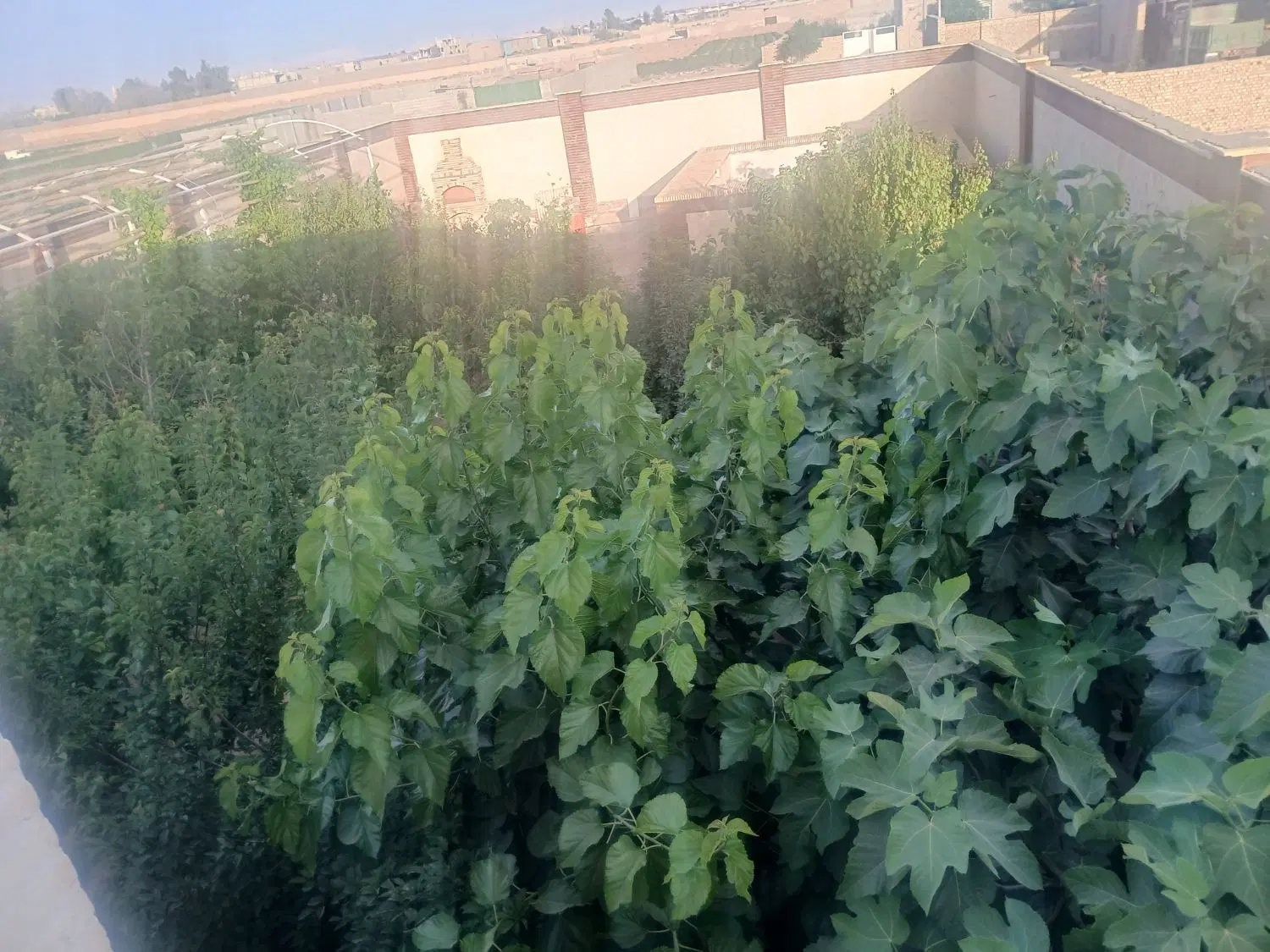 منزل دوطبقه دو نبش دوطبقه دوخواب