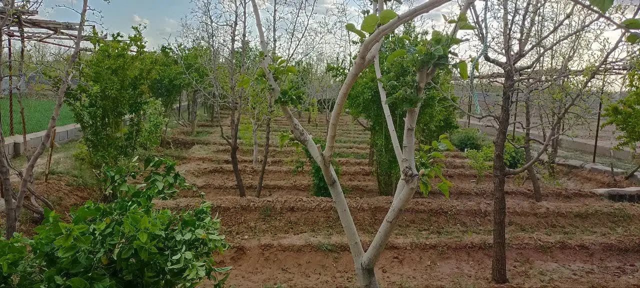 باغ تقاب