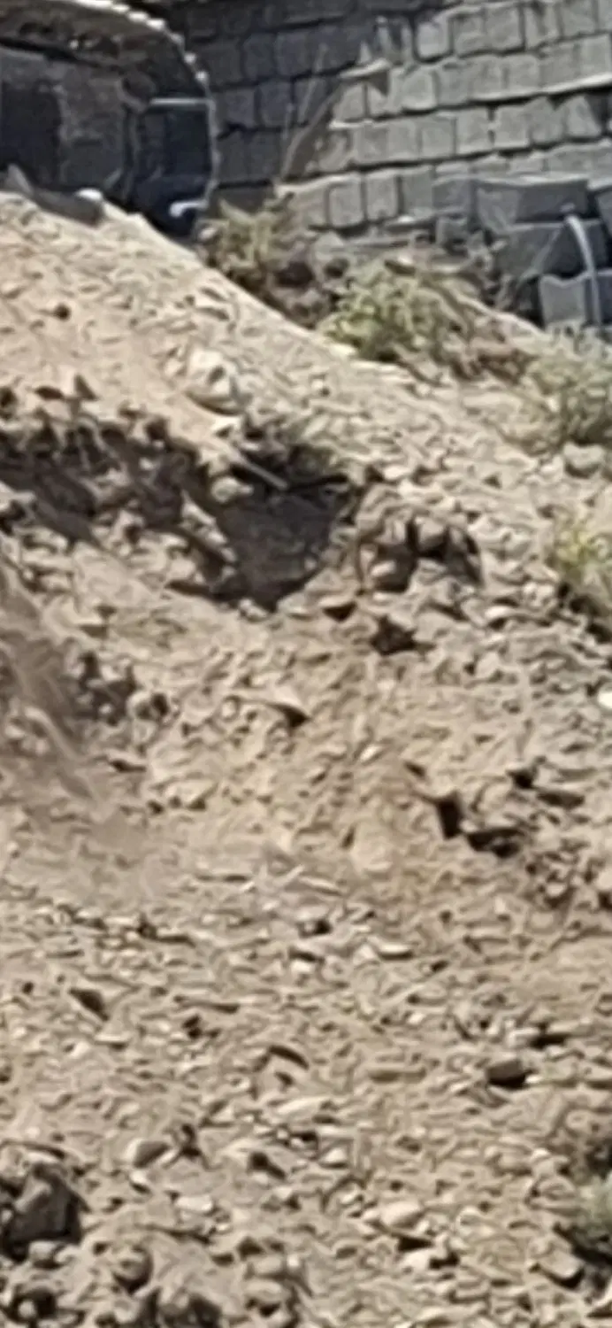 زمین مسکونی
