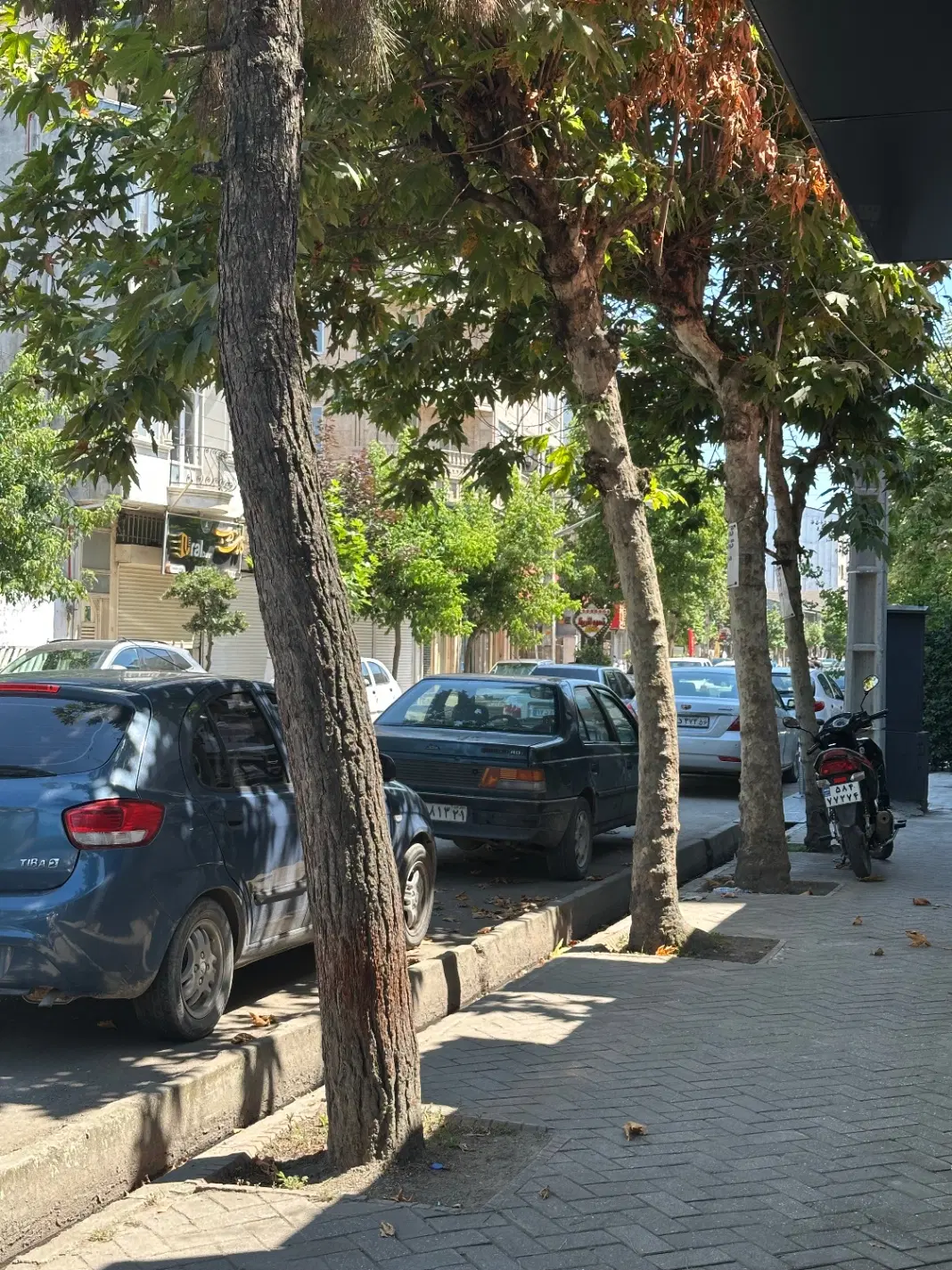 مغازه ۲۰ متری فروشی فارابی