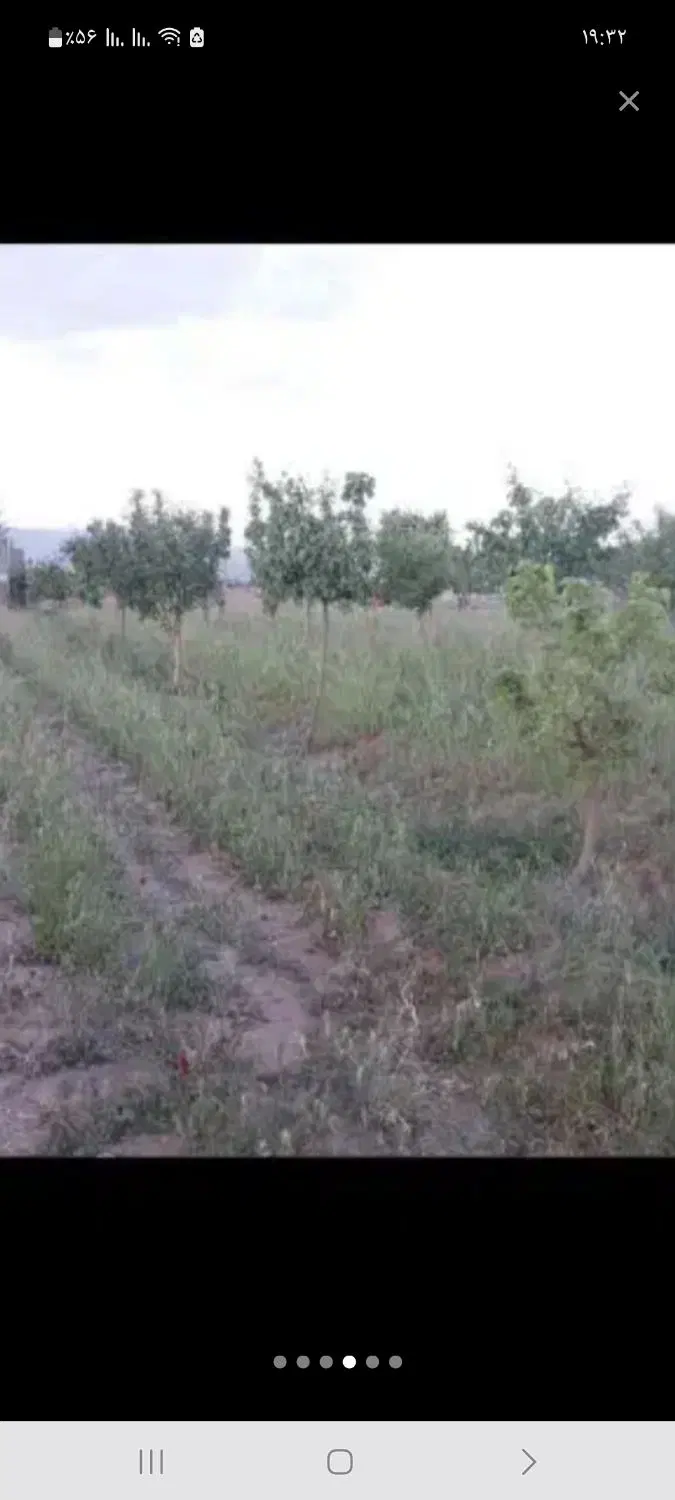 فروش باغ سنددار  ۰۰۰