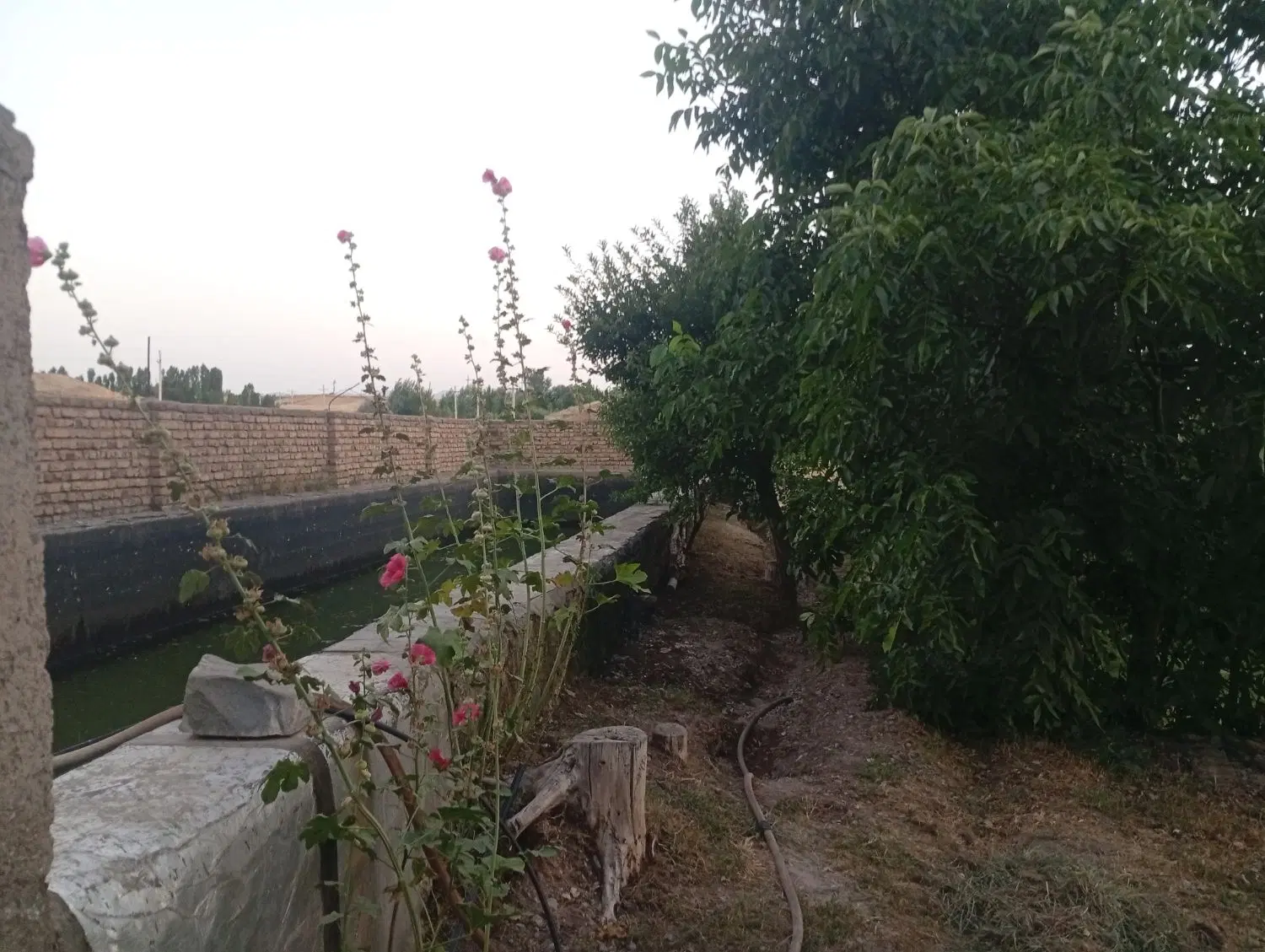 باغ روستای چیر