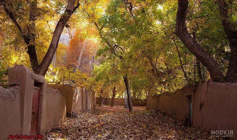 خانه ومغازه فروشی