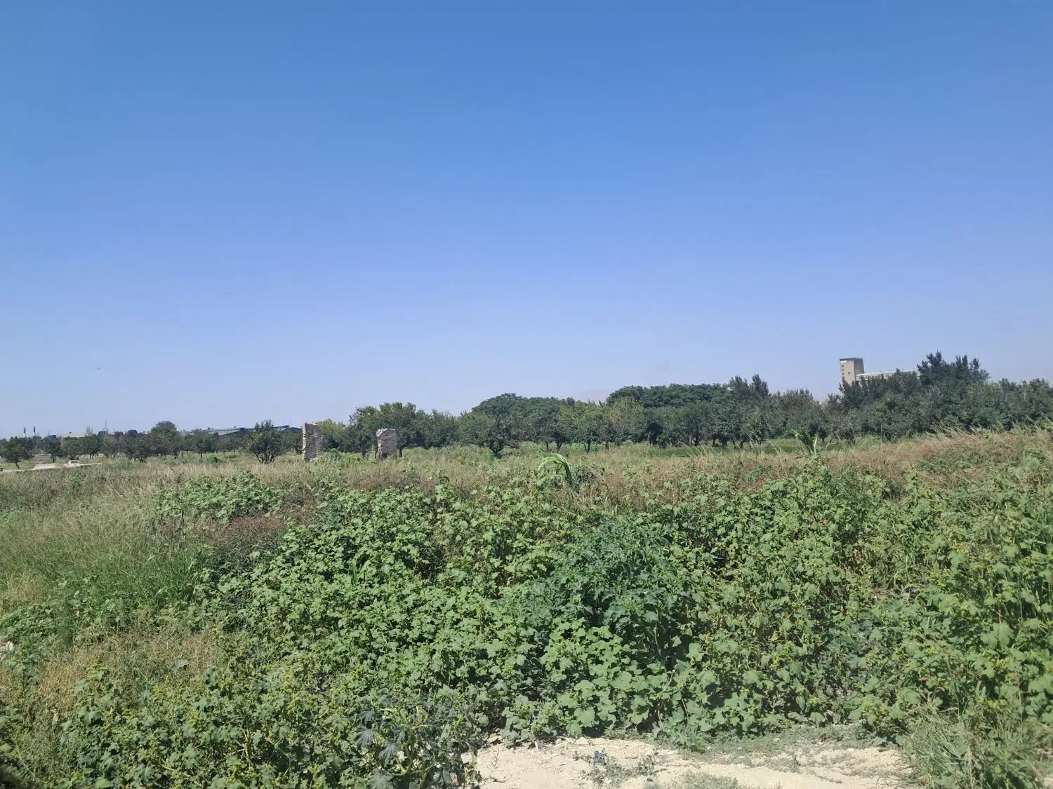 فروش زمین ان