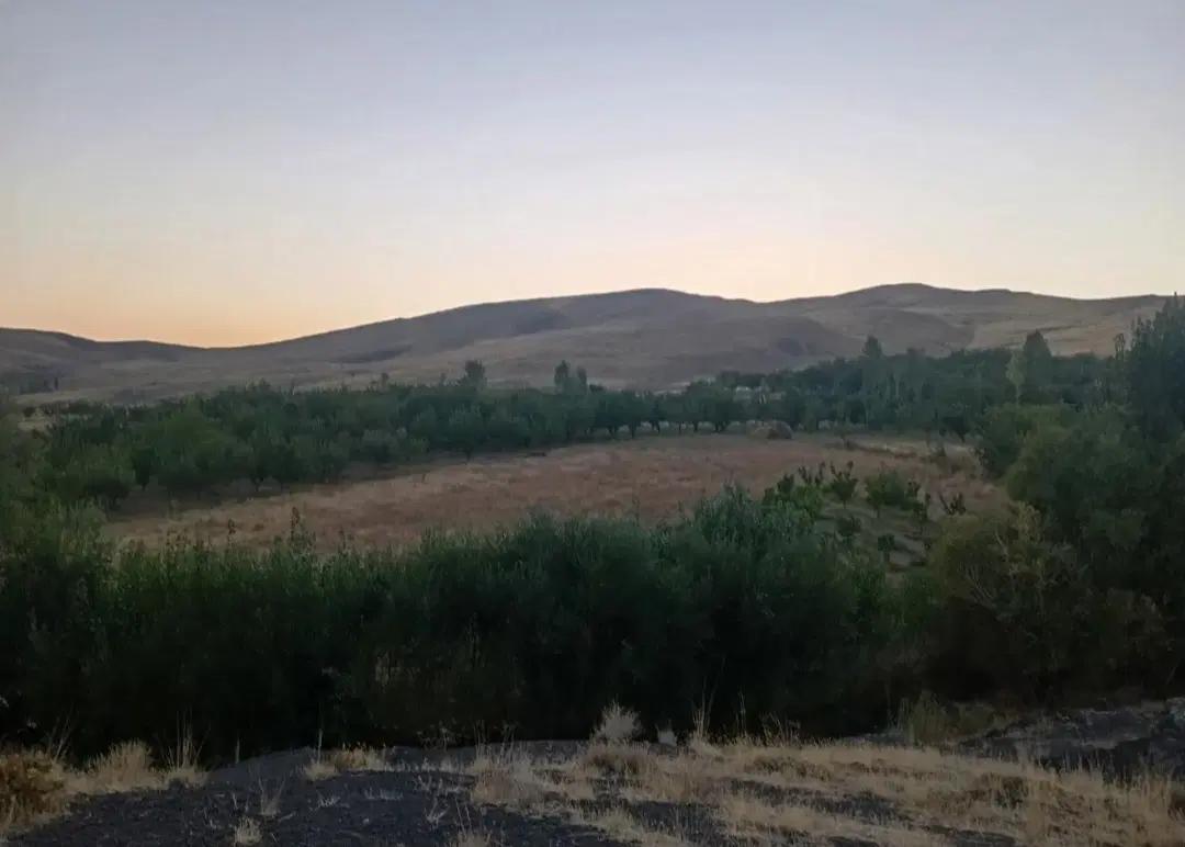 باغ