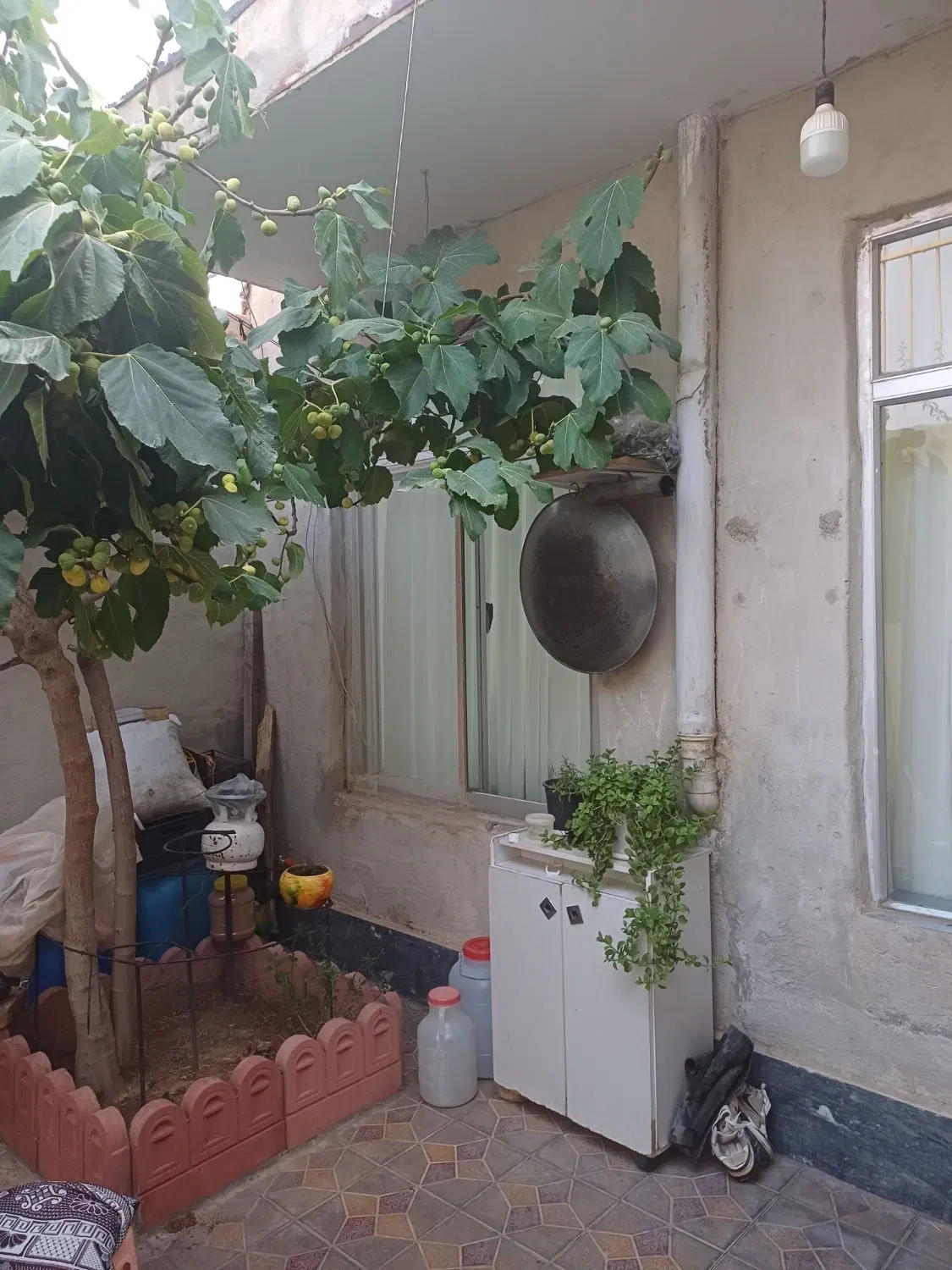 خانه ای بزرگ و دلباز
