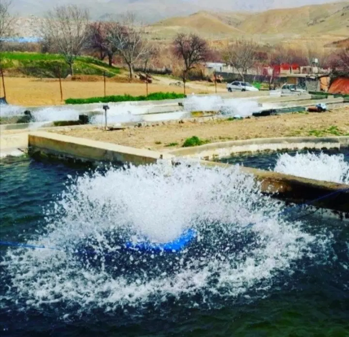 فروش یک قطعه زمین کشاورزی داخل شهر