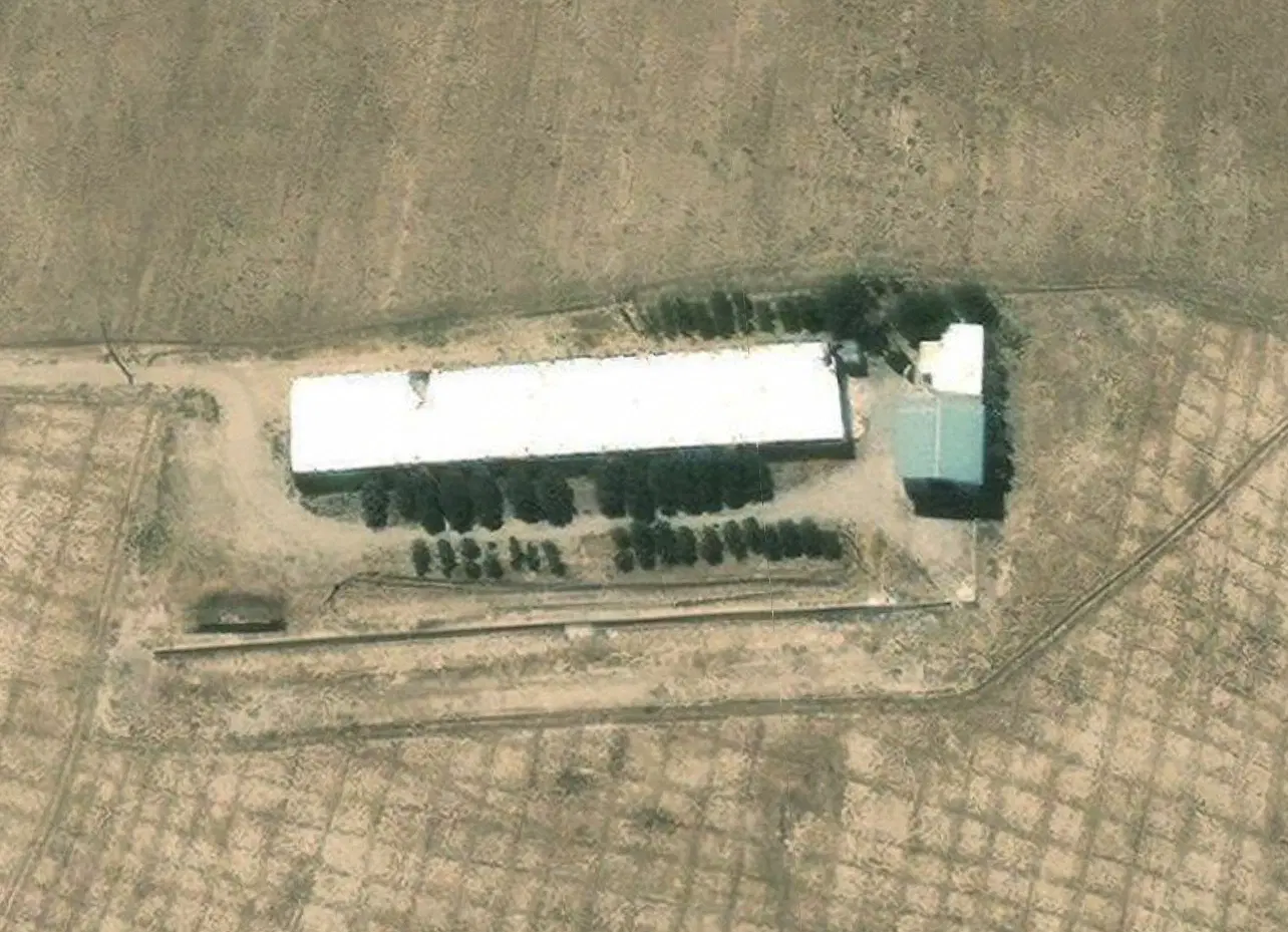 مرغداری گوشتی صنعتی