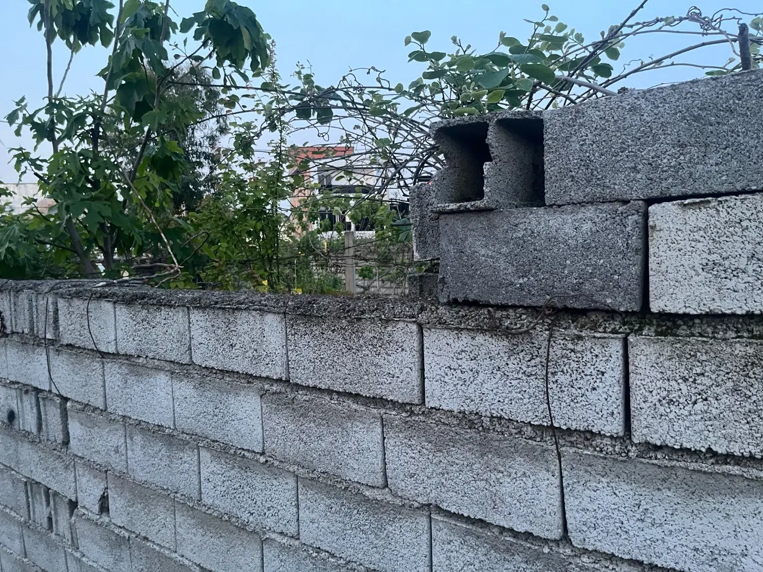 فروش زمین مناسب جهت خانه باغ