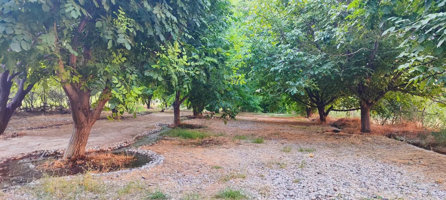 باغ گردشگری ۶۰ساله(معاوضه وفروش)