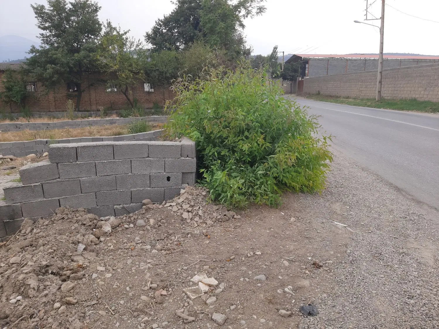 زمین طبیعت به سمت اوزینه