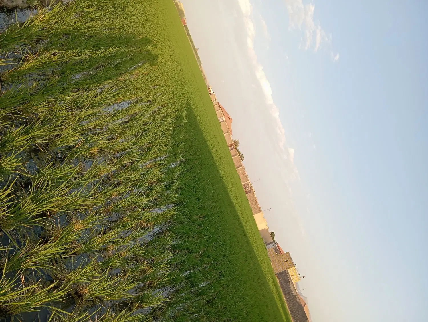 پلاک باغی 500 m جاده ساحلی سند و مجوز رسمی