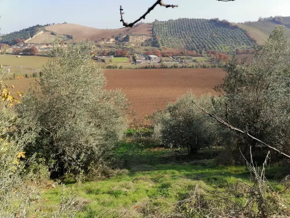 فروش زمین