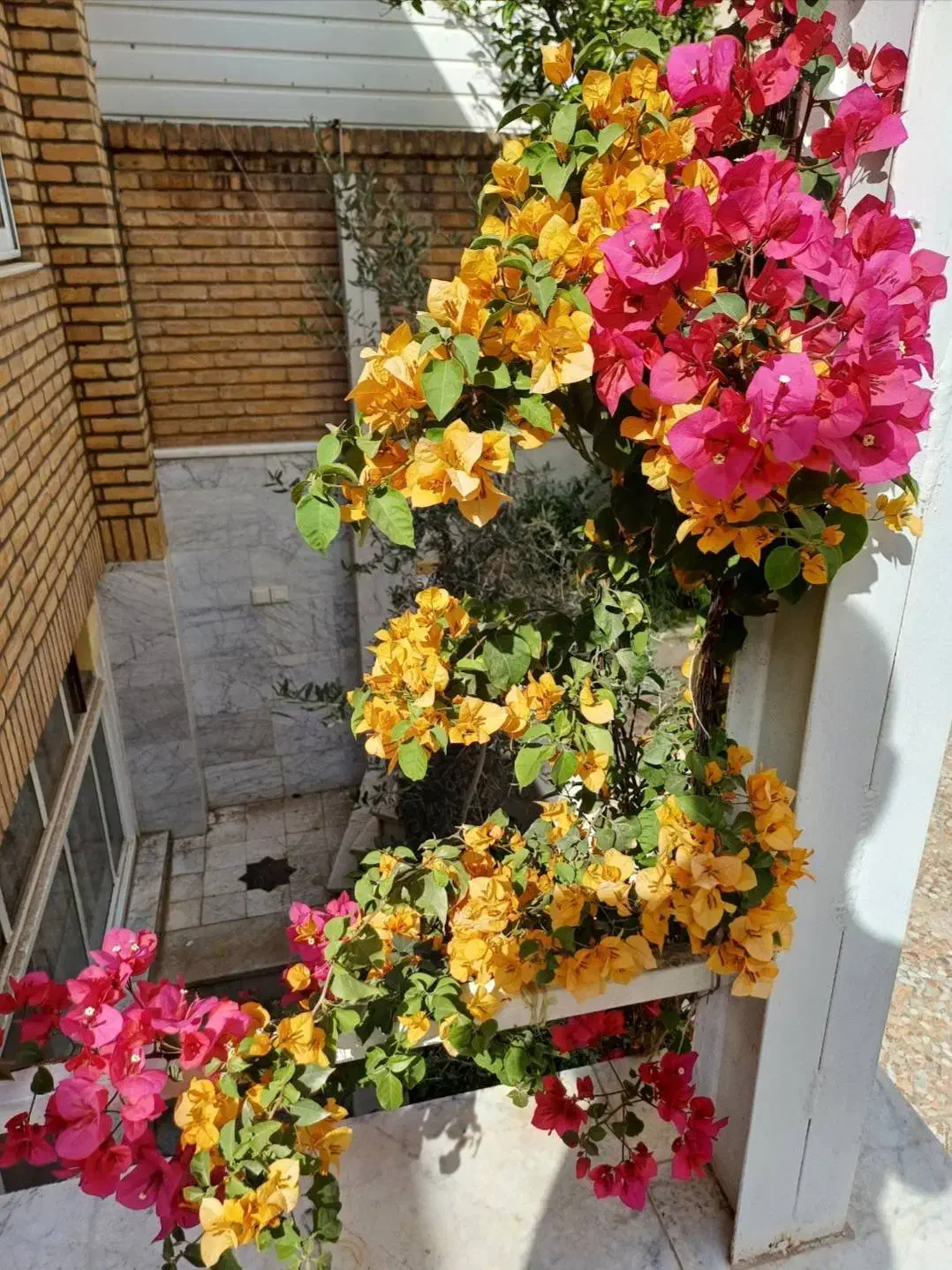 اجاره بهترین جای شهر
