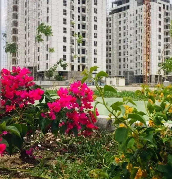 واحد نیک ترابر یک خوابه فاز دوم