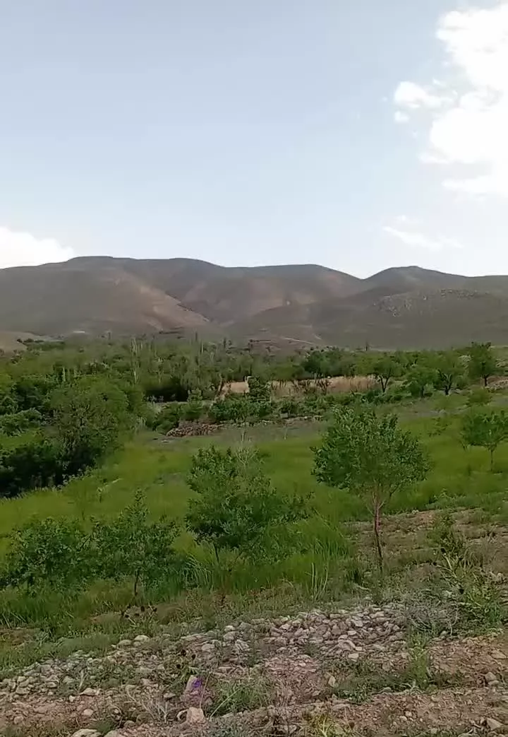 فروش 1500متر باغچه