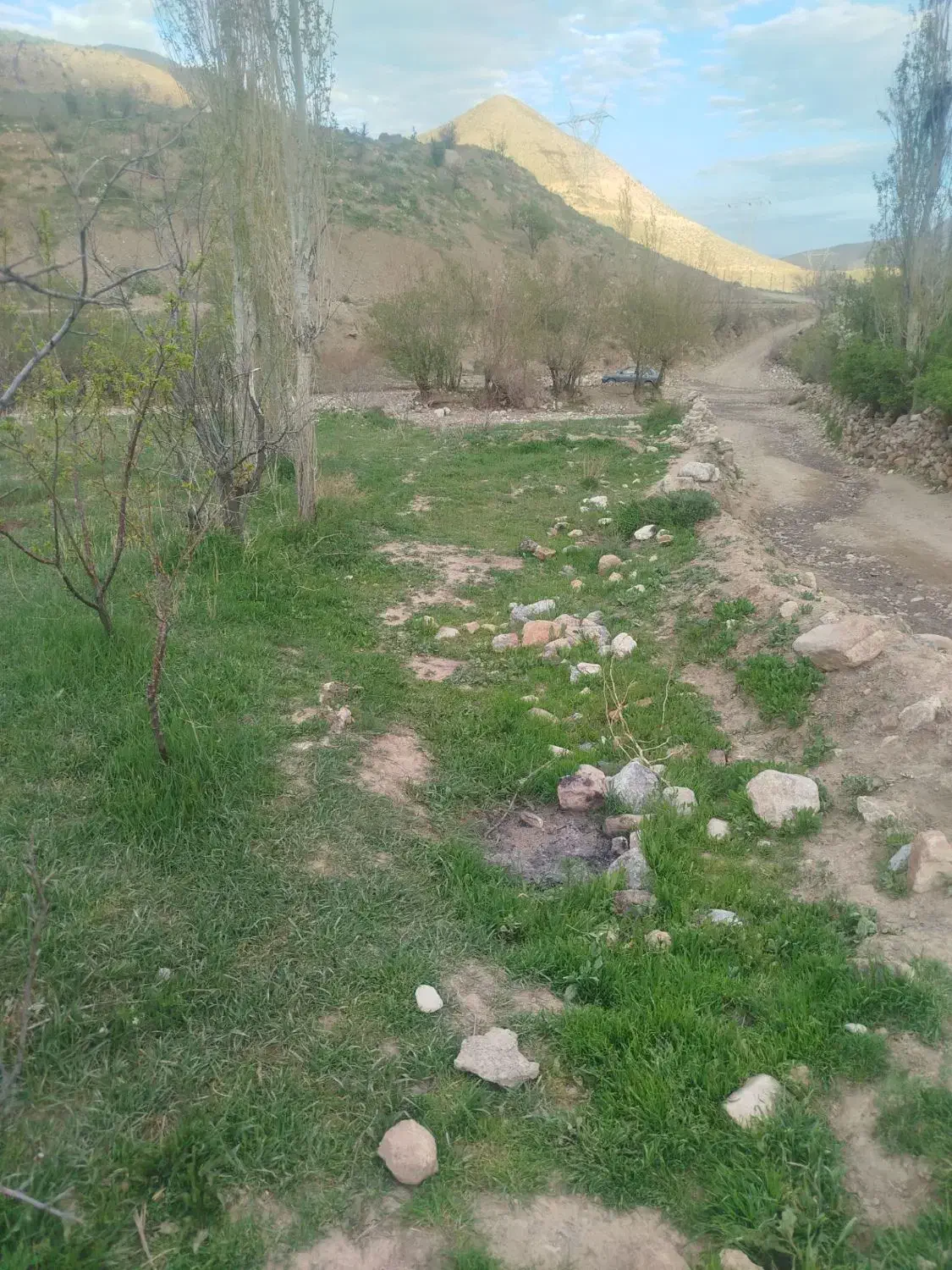 زمین کشاورزی