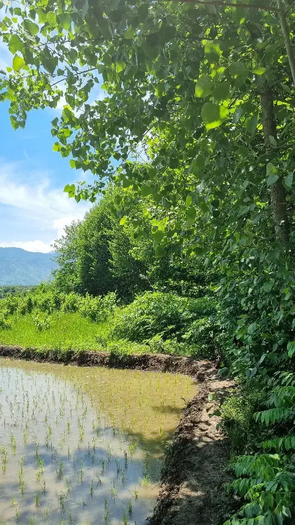 زمین کشاورزی وخانه