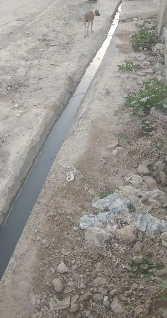 دو قطعه زمین پشت بند دره آب و برق دار