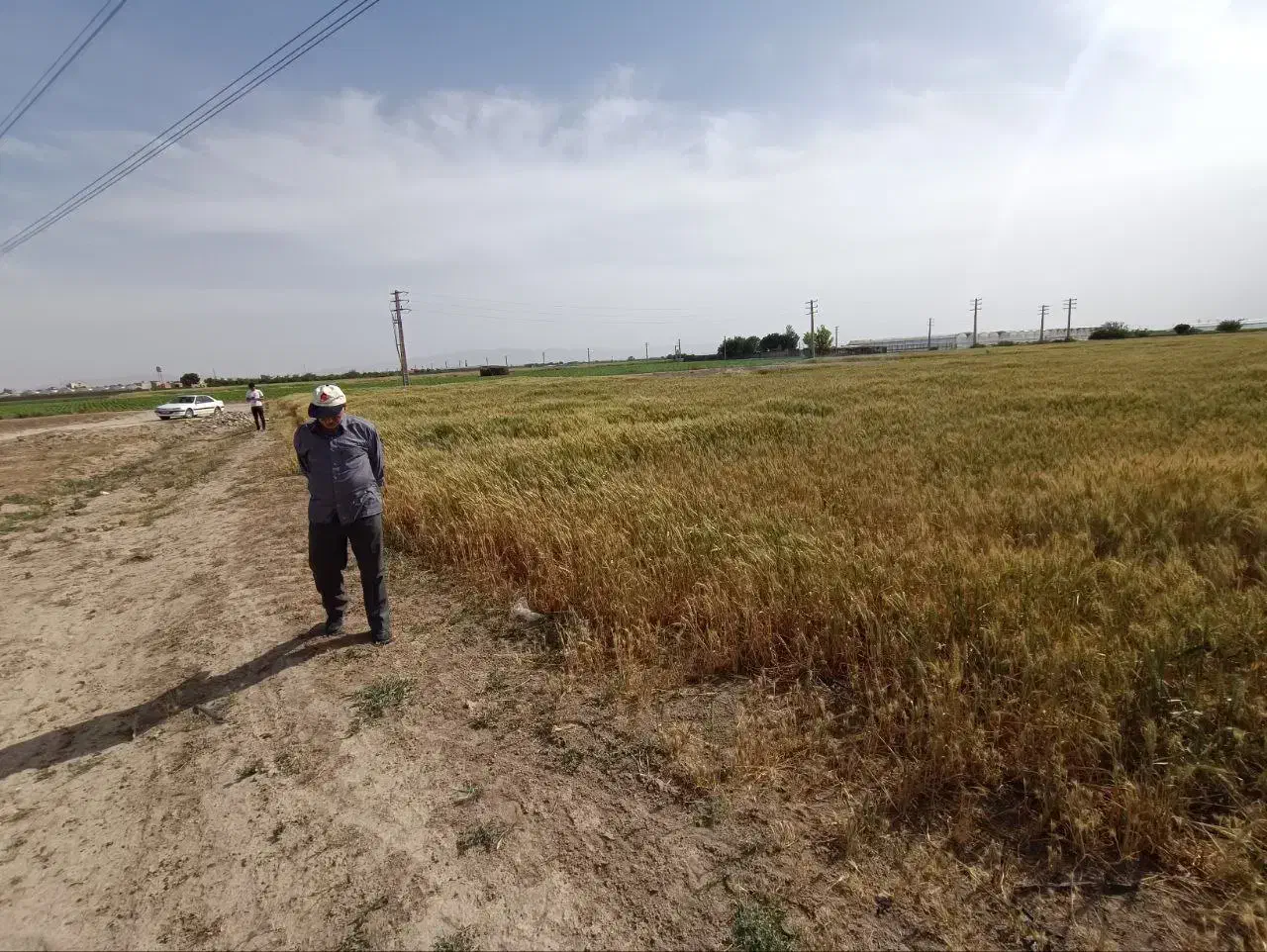 زمین معاوضه و تهاتر با خودرو و طلا
