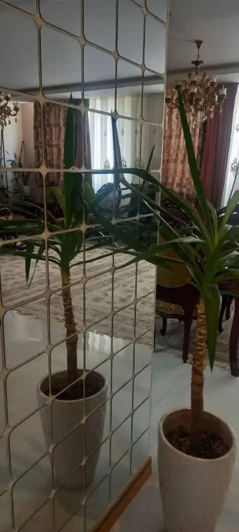 رهن کامل ۱۲۰متری امیریه
