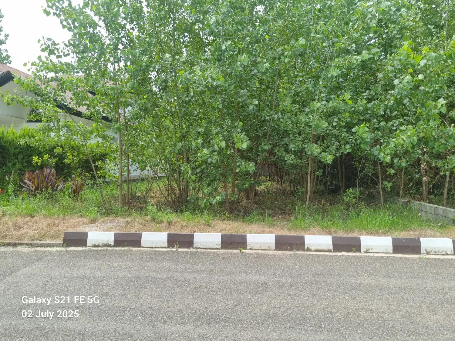 زمین ویلایی