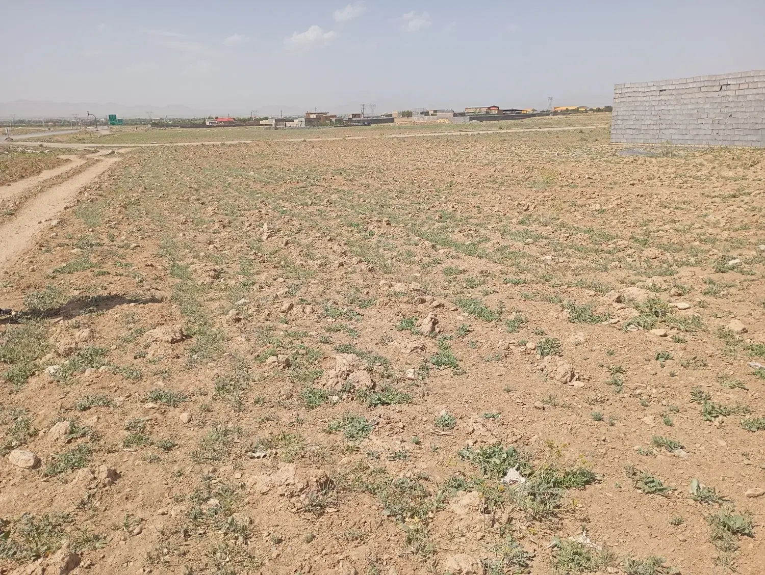زمین باغی