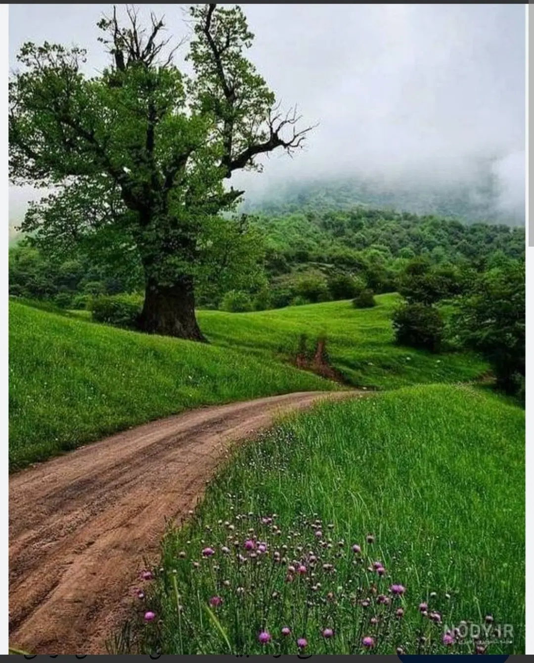 زمین با سند در خوریه نور