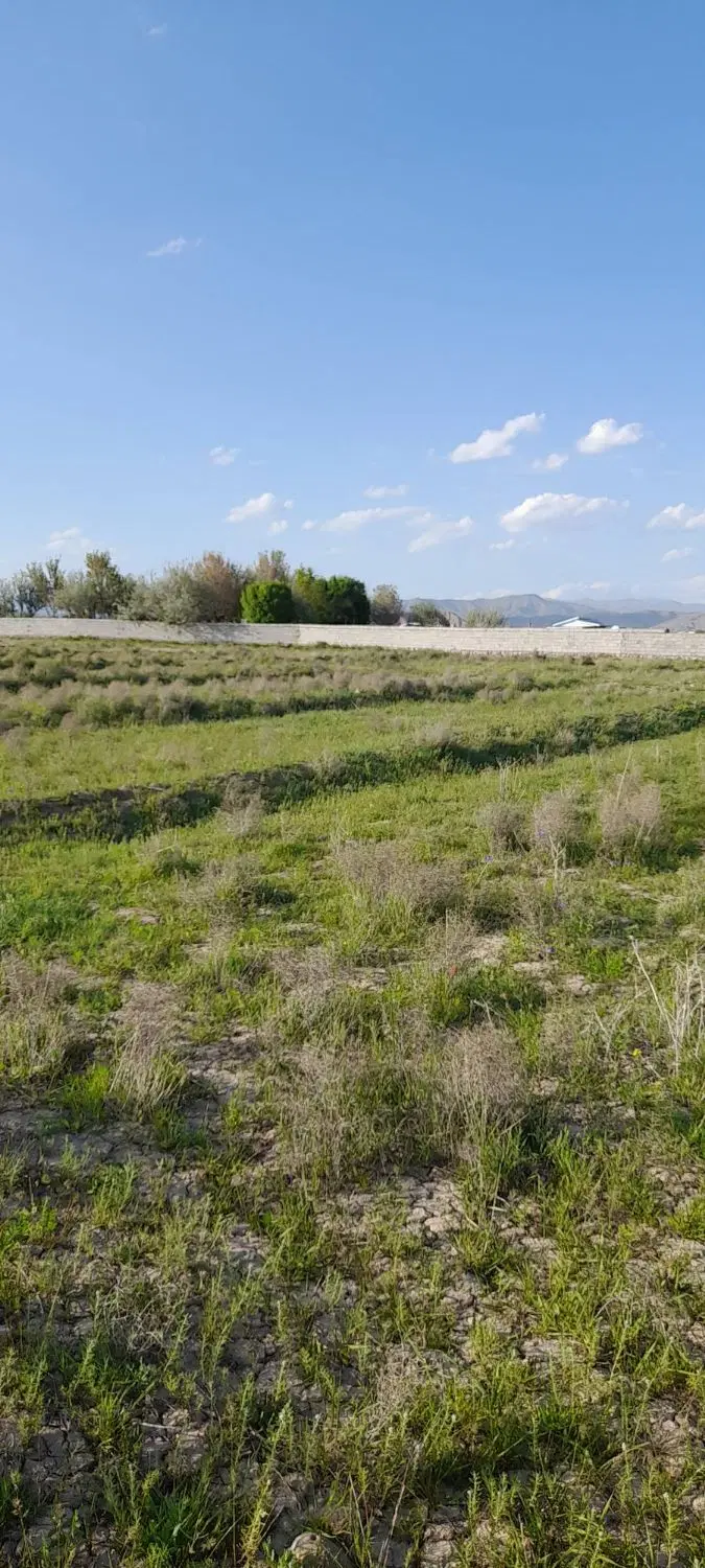 زمین ویلایی روستای پردول