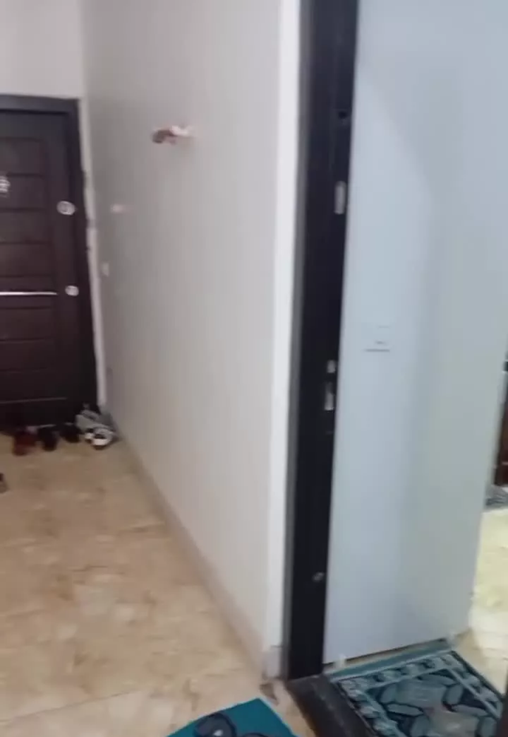 واحد لوکس بر توحید شیرازی تجاری